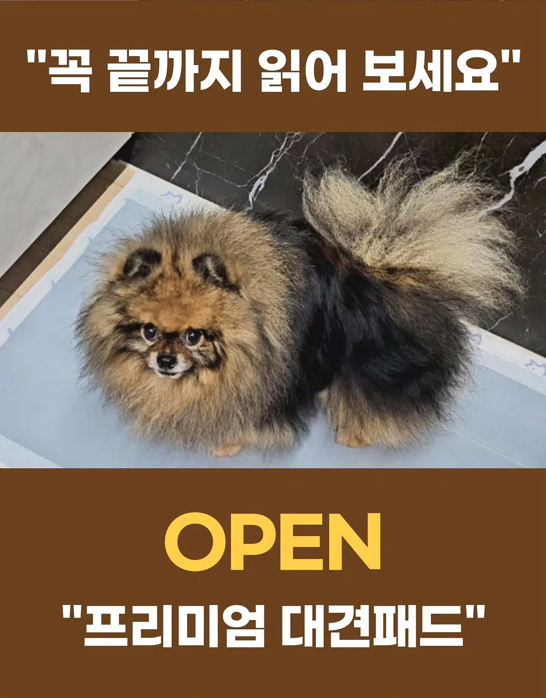 무아스 와이드 2도어 투명 슈케이스 1