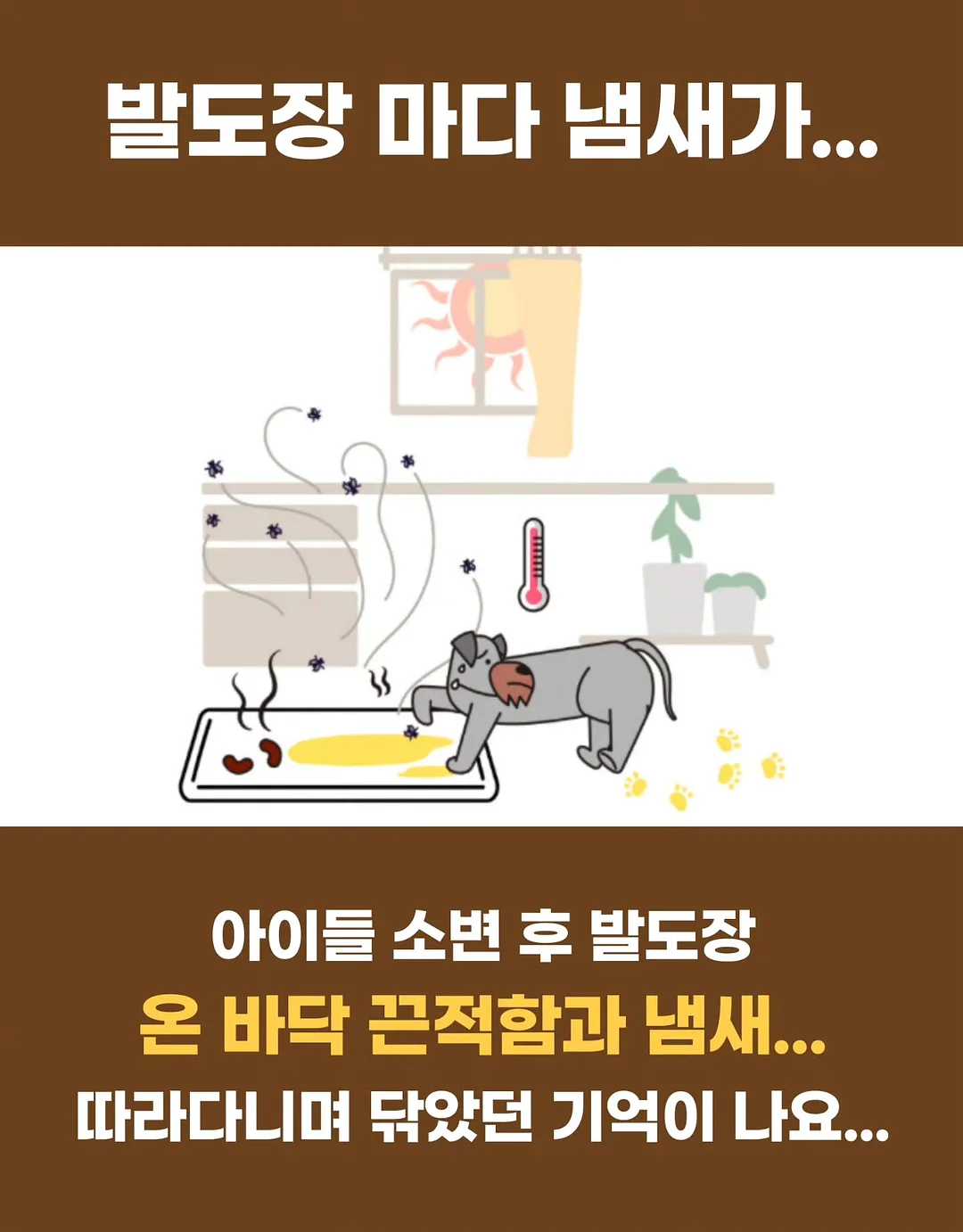 무아스 와이드 2도어 투명 슈케이스 4