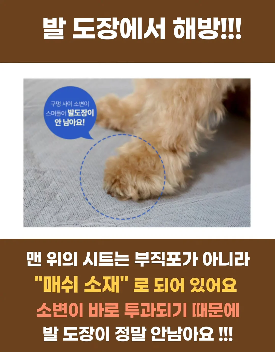무아스 와이드 2도어 투명 슈케이스 7