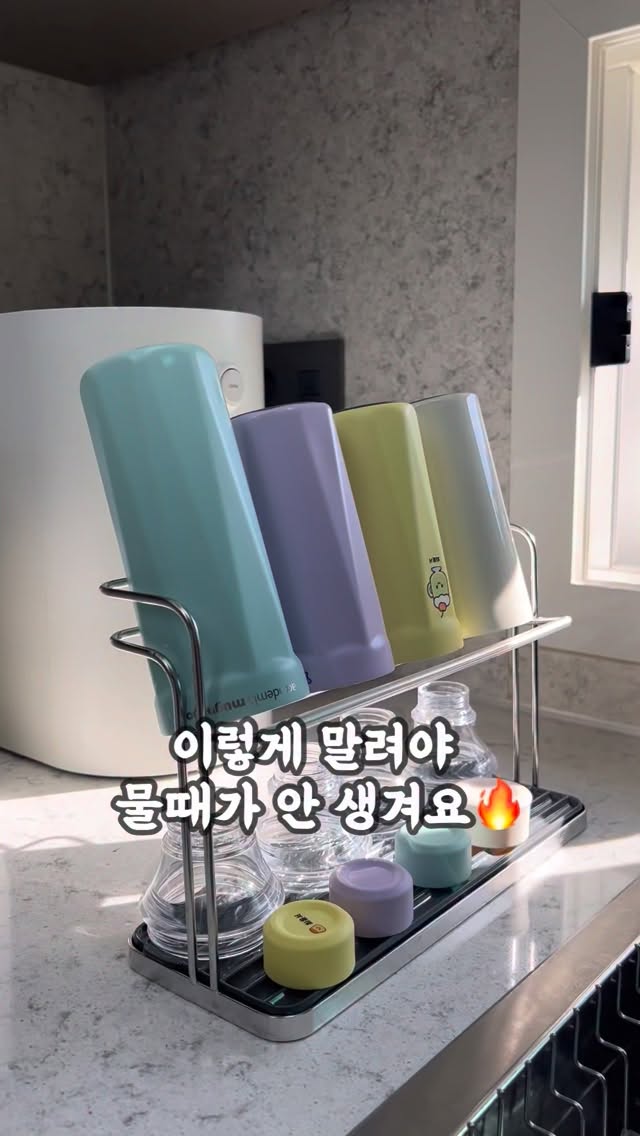 롤팬