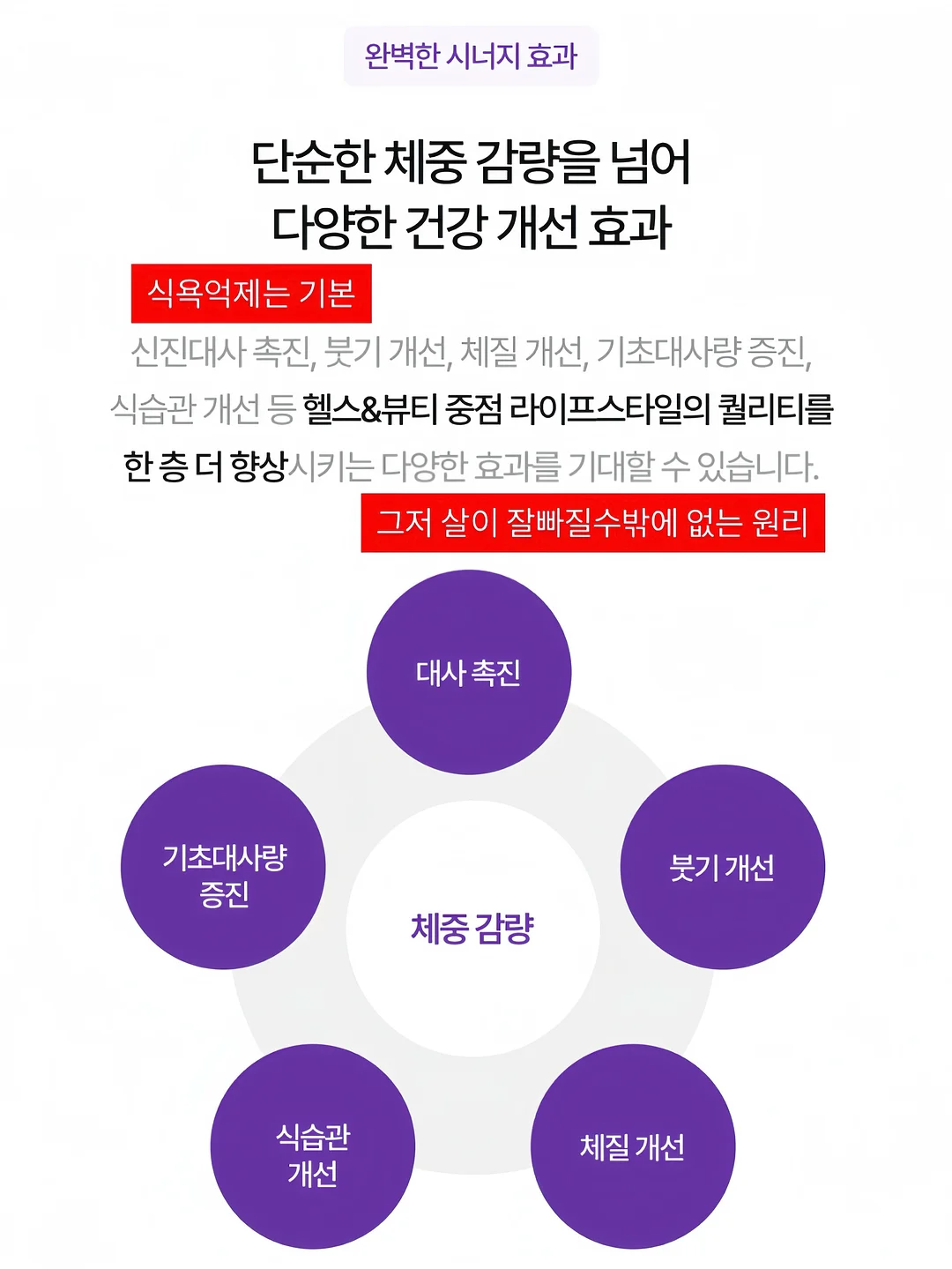 수트업 트라우저 8