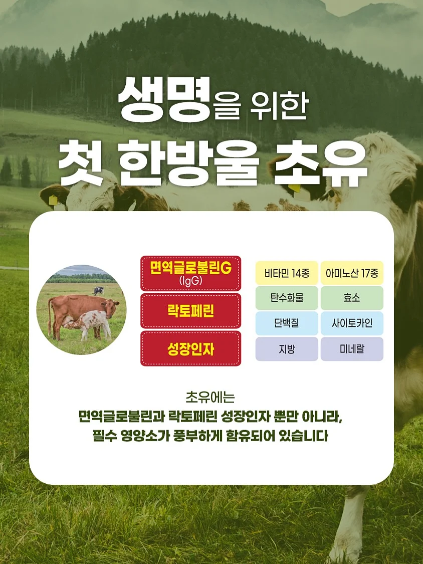 큰별쌤의 한국사 신문 7