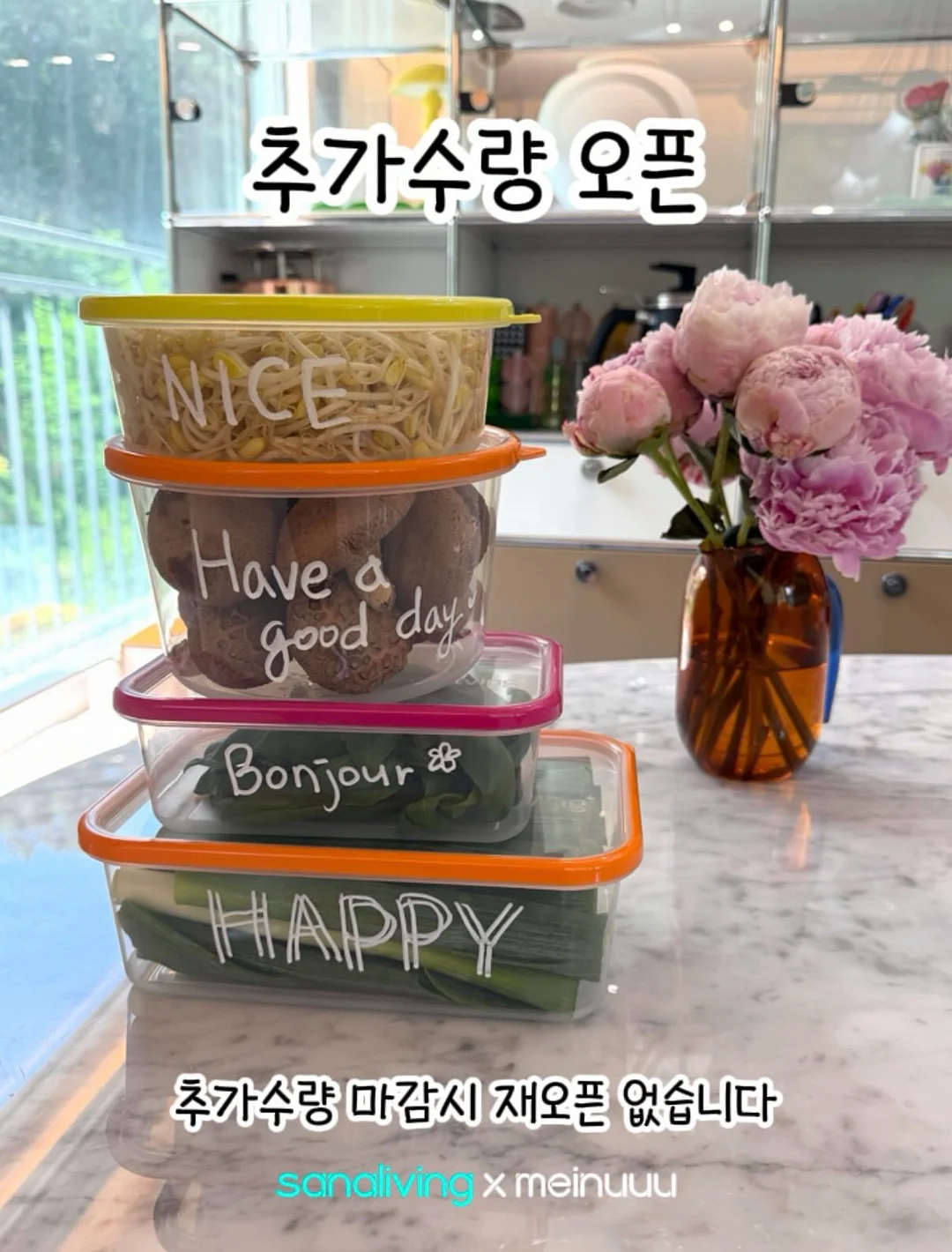 비채수 1