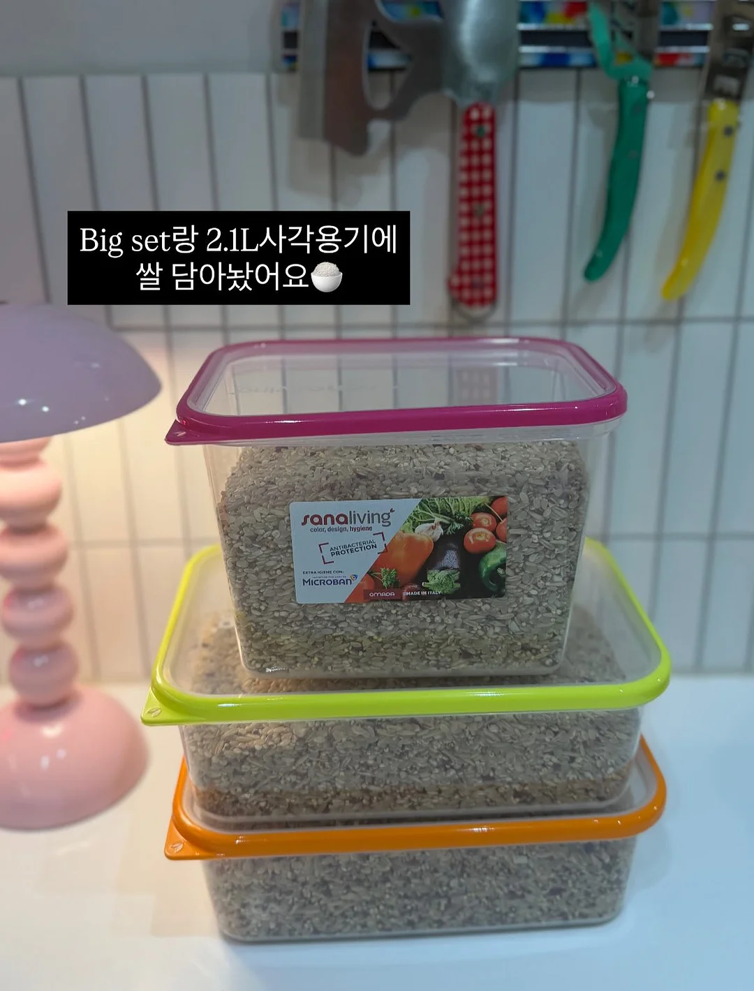 비채수 2
