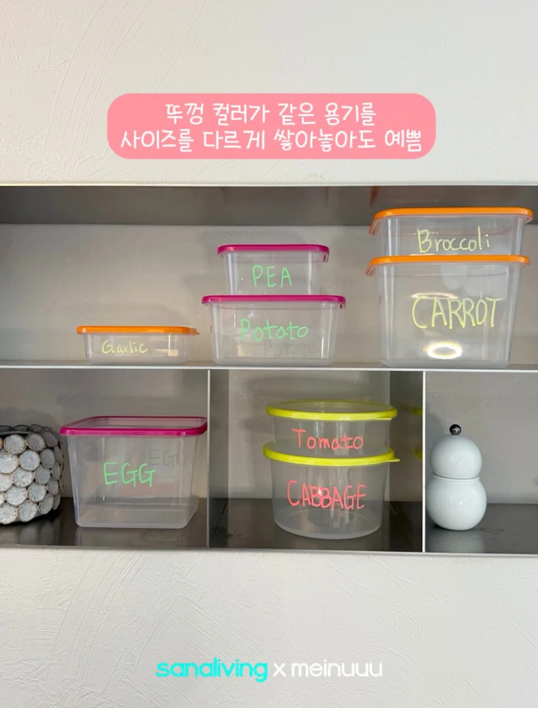 비채수 4