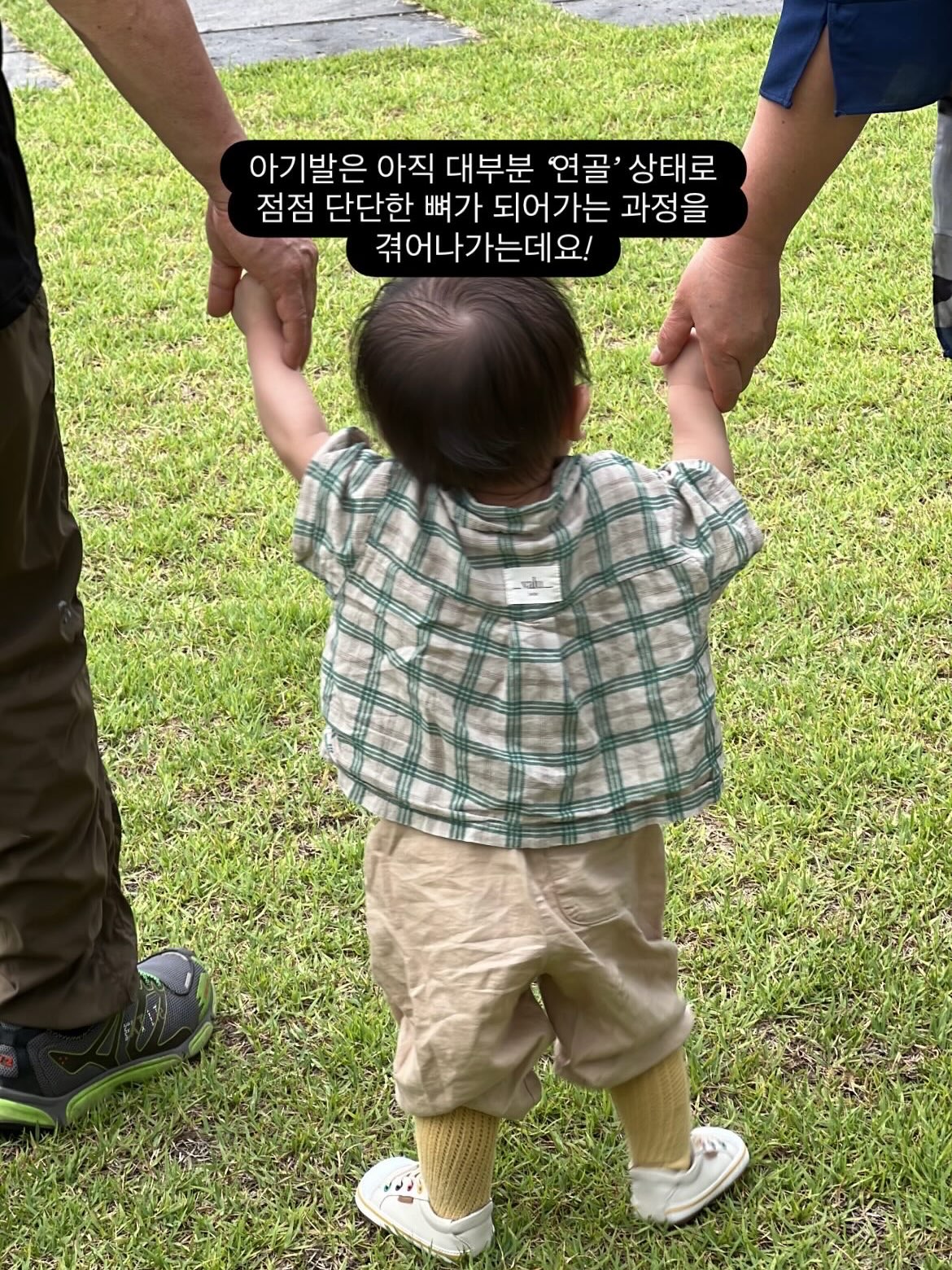 스피큘 펩타이드 앰플 2