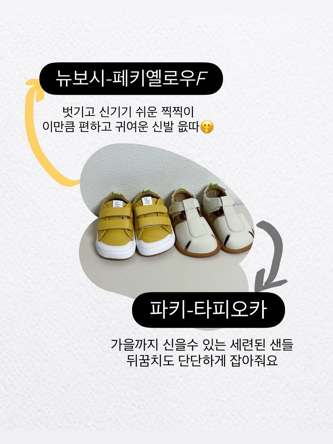스피큘 펩타이드 앰플 14