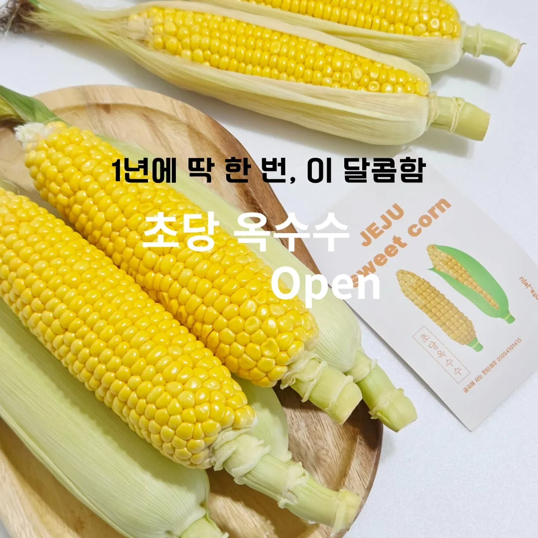 비비엔다 순수 원형러그 1