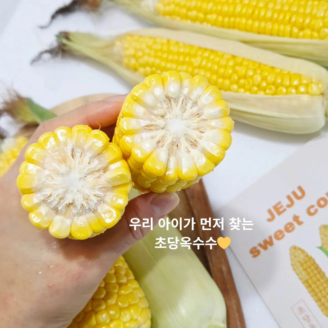 비비엔다 순수 원형러그 2