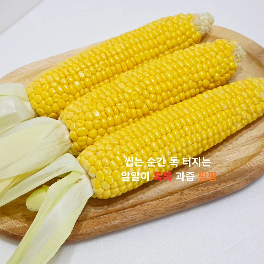 비비엔다 순수 원형러그 4