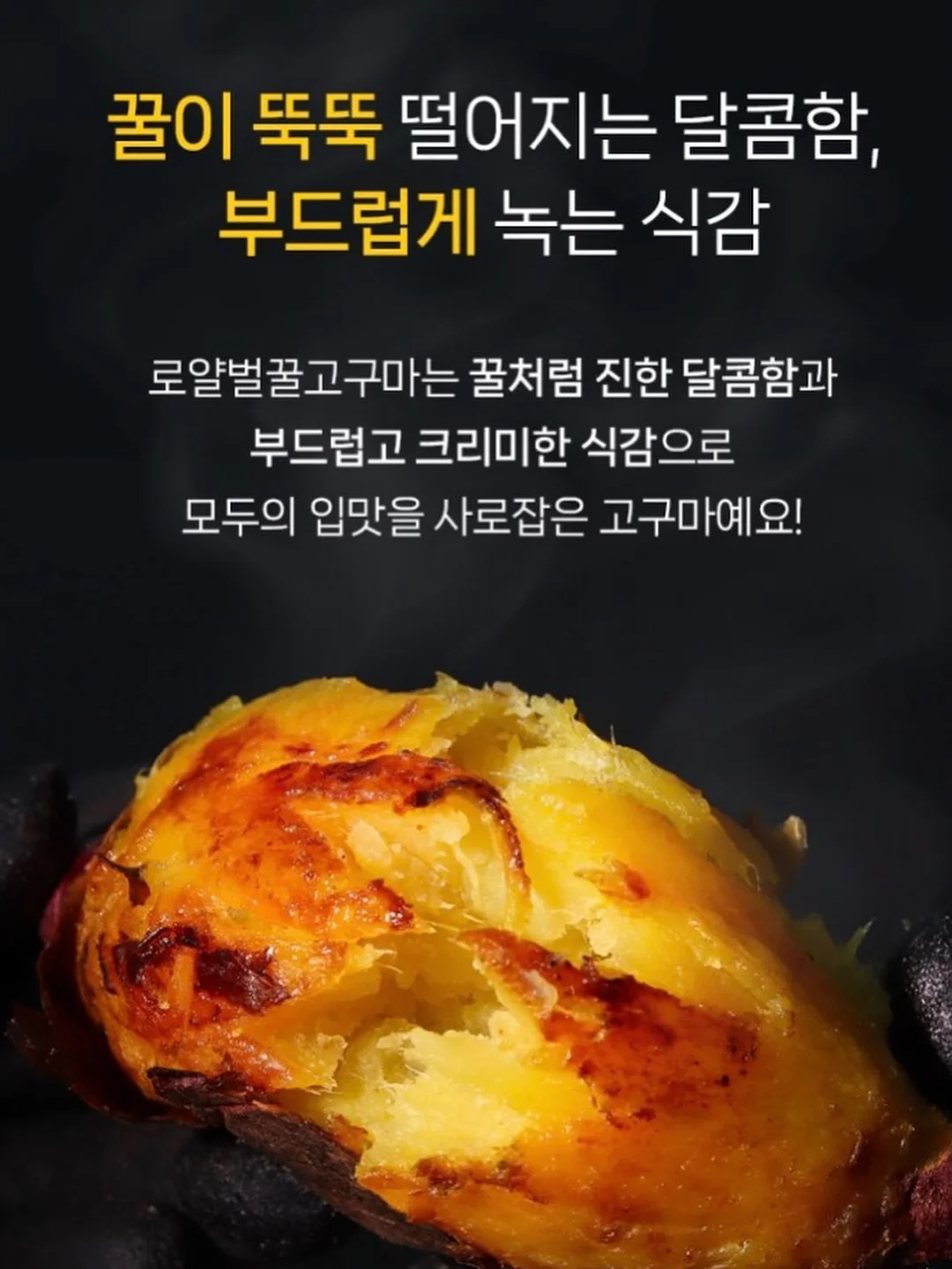 겁쟁이들의 교환독서 11