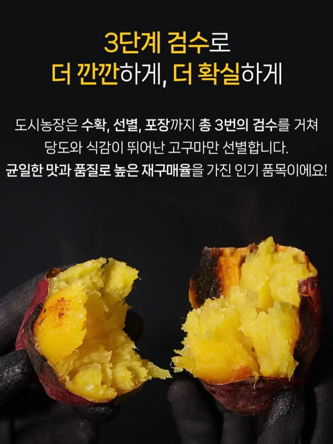겁쟁이들의 교환독서 12