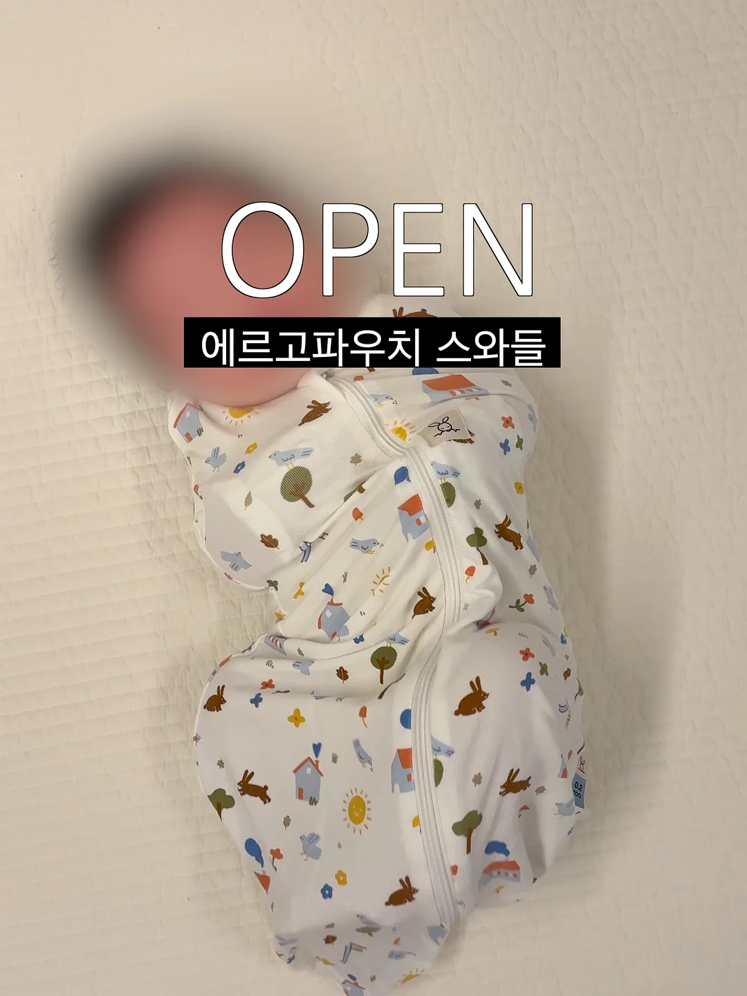 ANC 크루팩토리 외항사 과외반 1