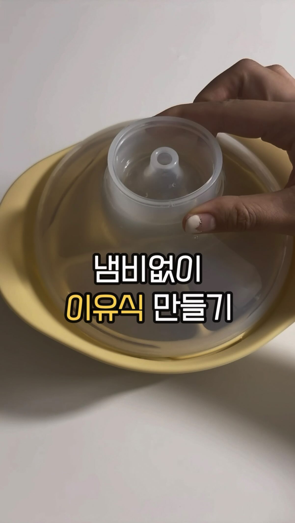담비백 비건백