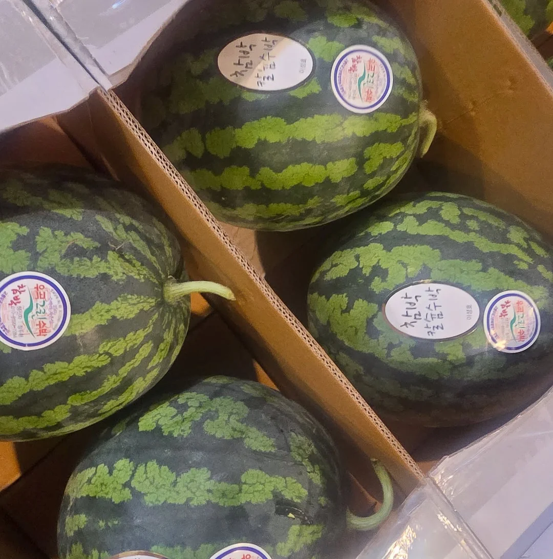 호올스 제로슈가 민트 민트향 수박향