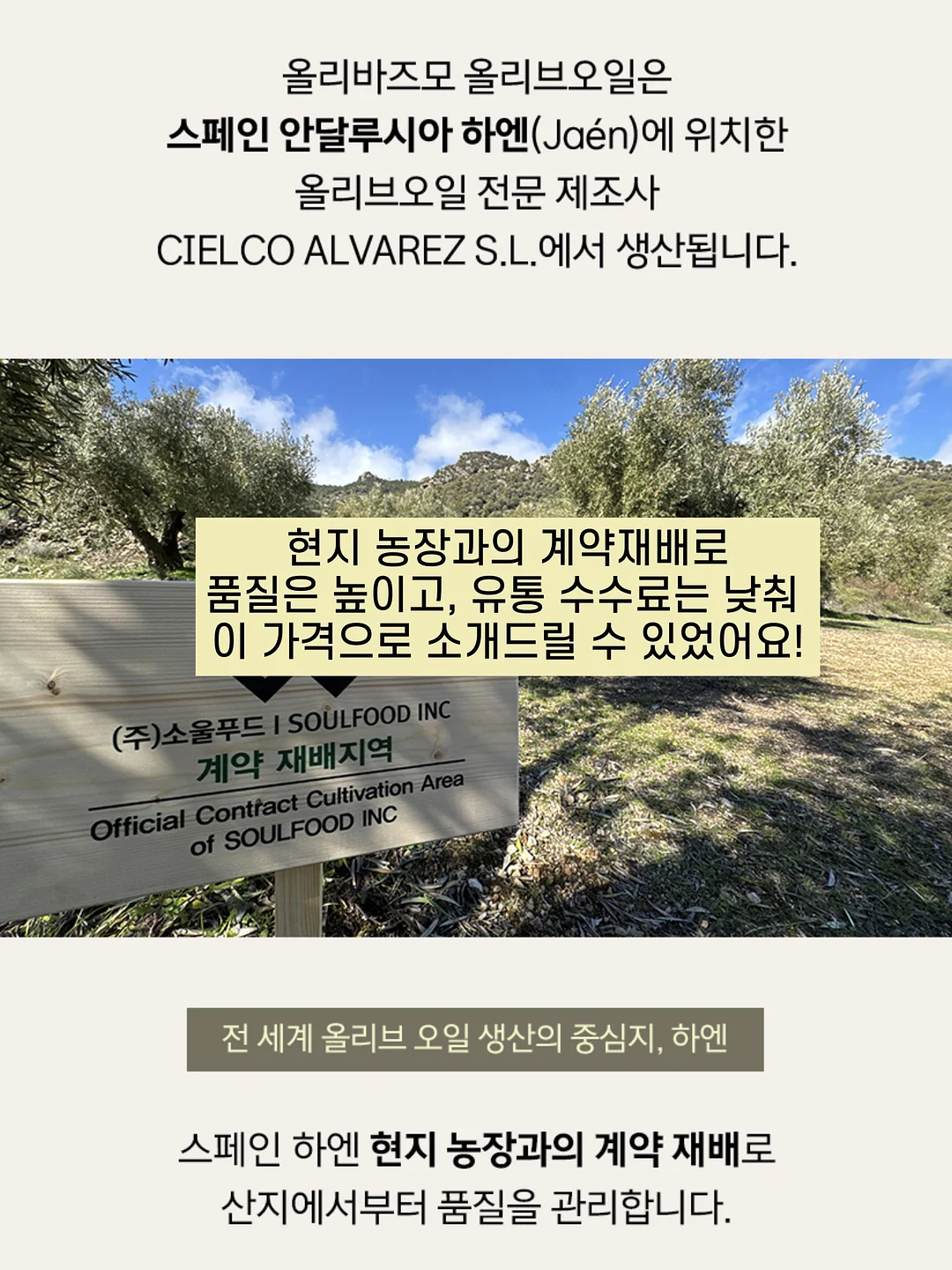 컵넛 도넛 6종 5