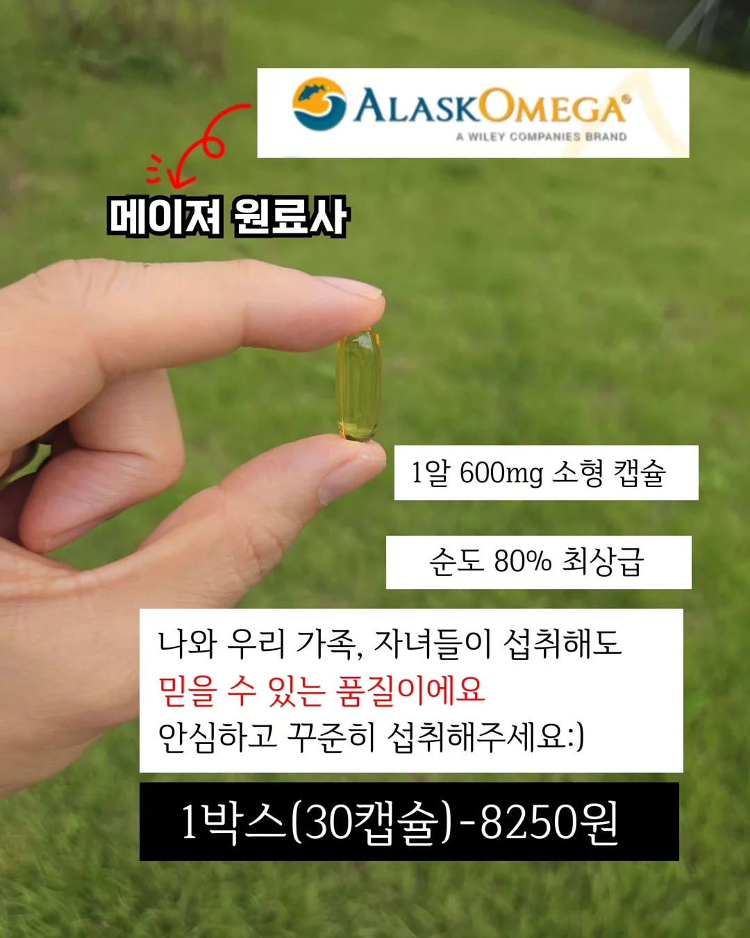 대형 휘핑기 3