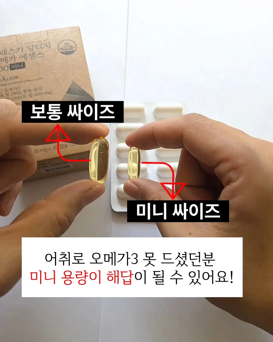 대형 휘핑기 5