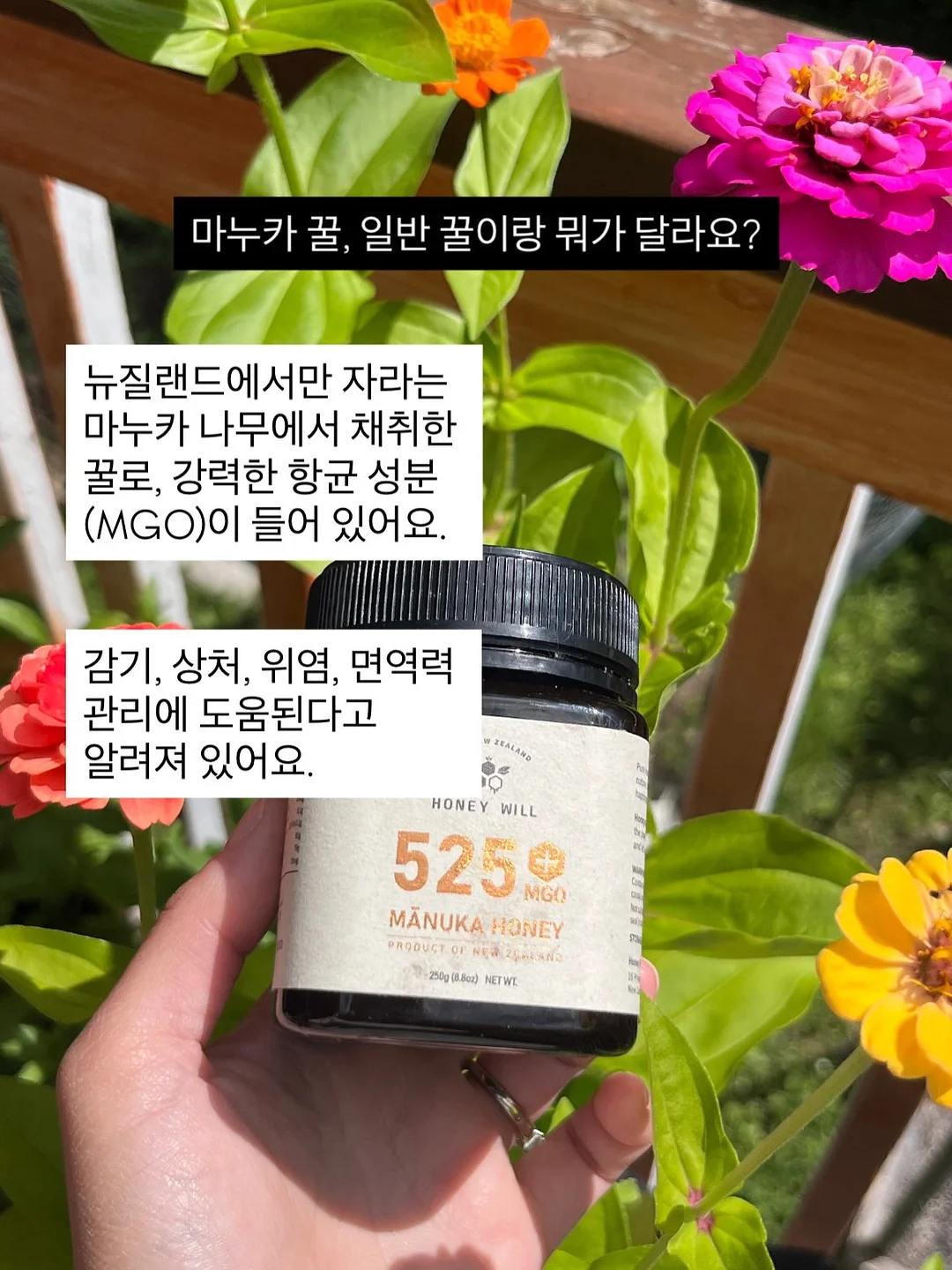 서울 근교 시골 온천 료칸 숙소 2