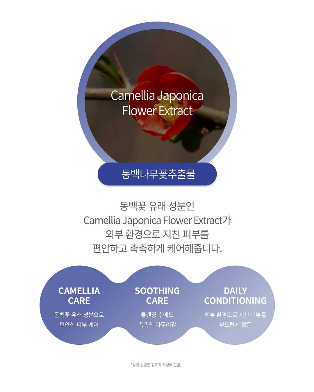 케이크 9