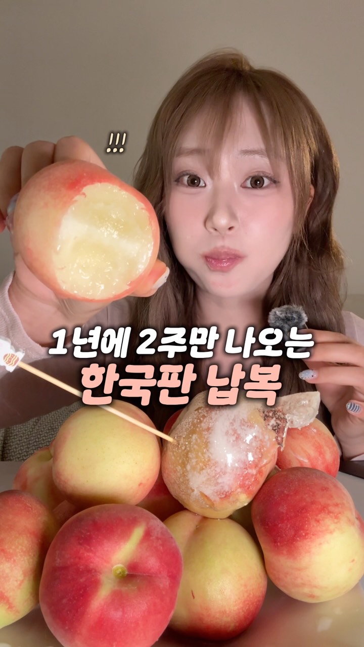 레노바 포켓몬 에디션 티슈