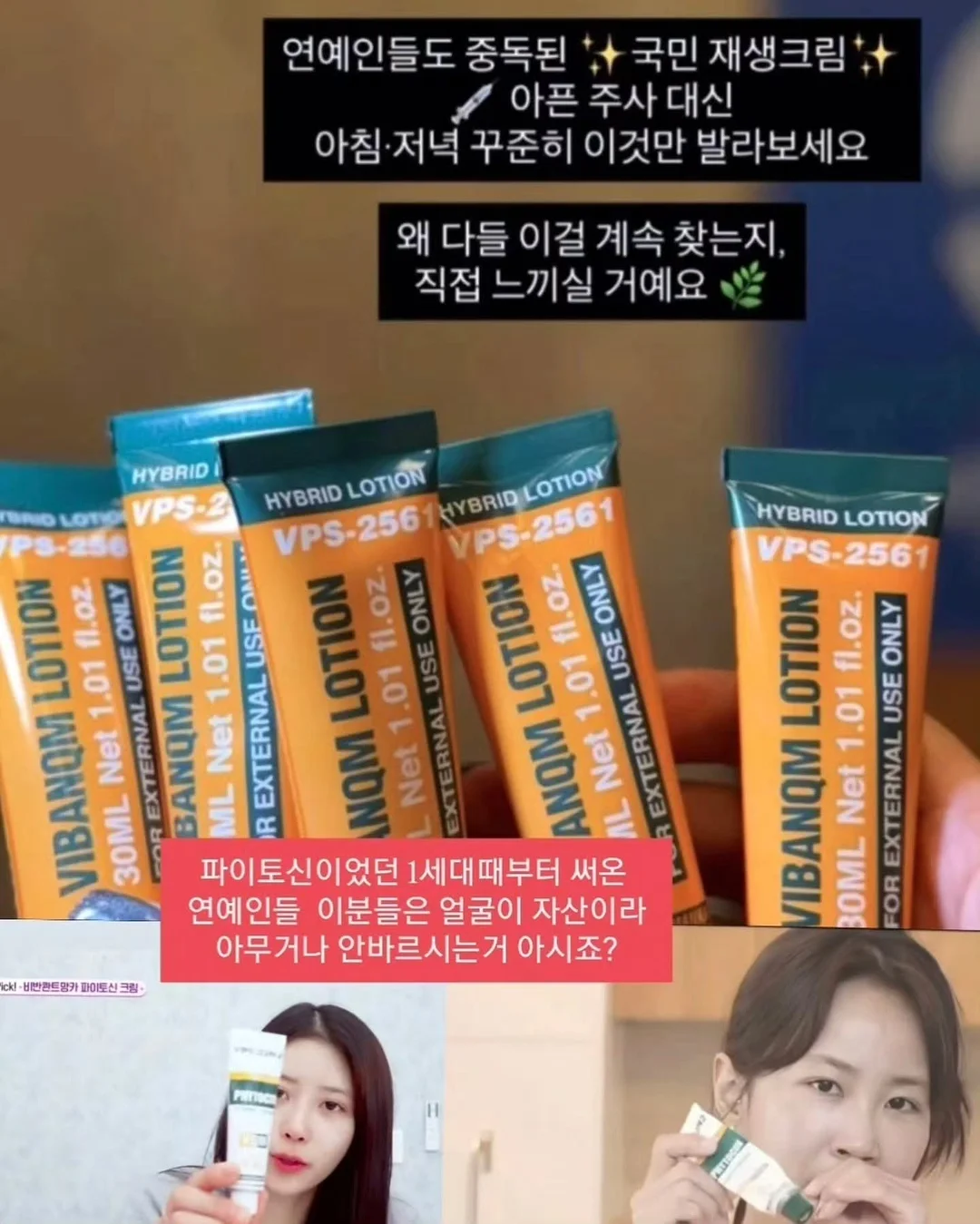 하트 모양 다육이 5