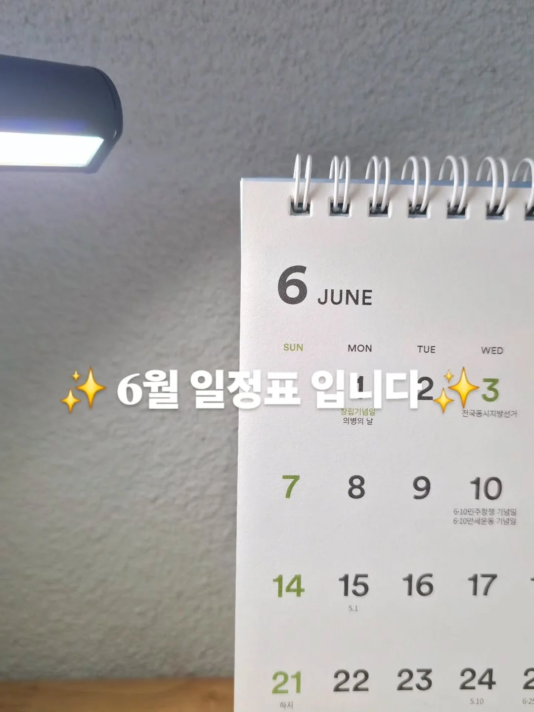 갯돌소리 산모미역 1