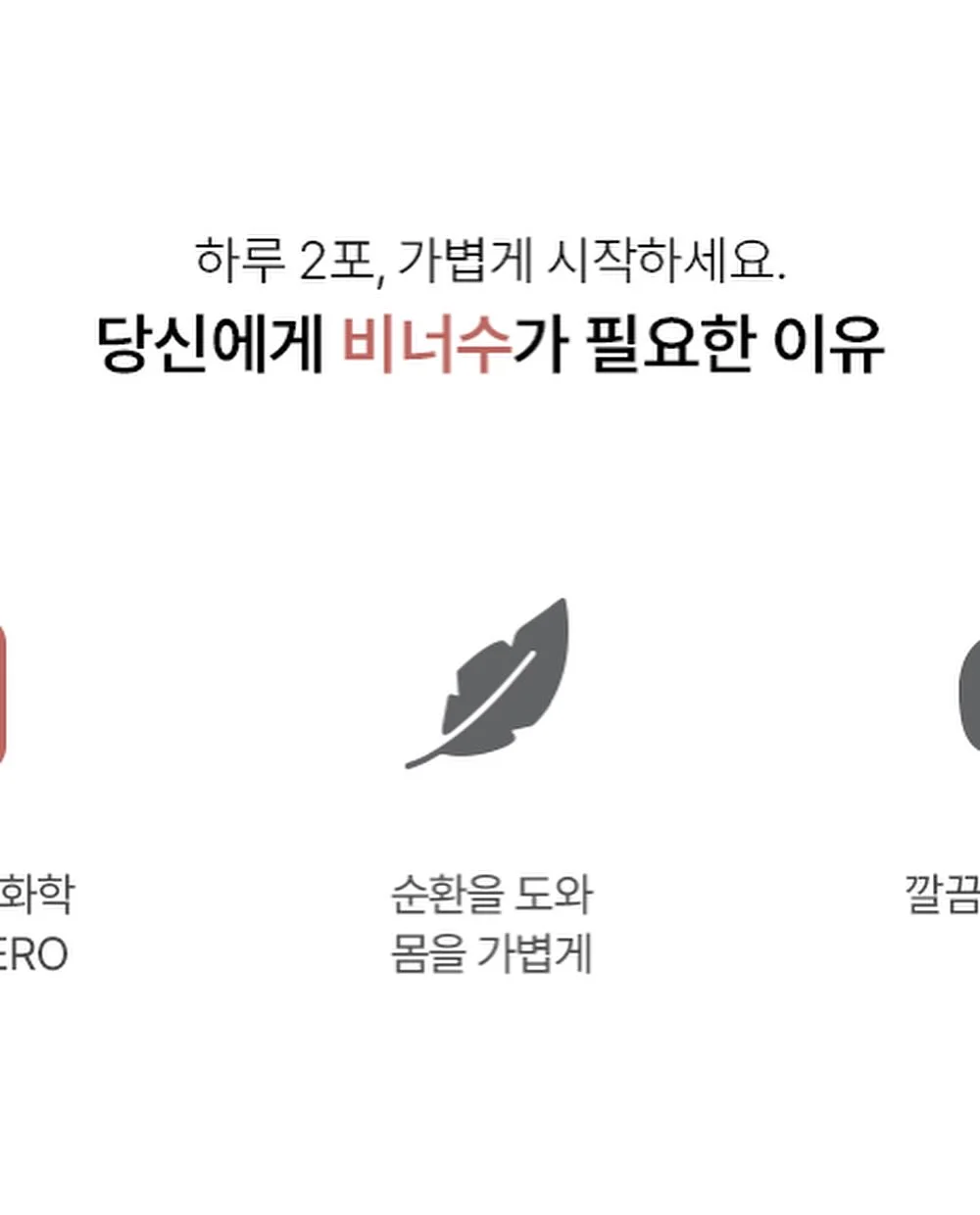 보니토 여름 신상 10