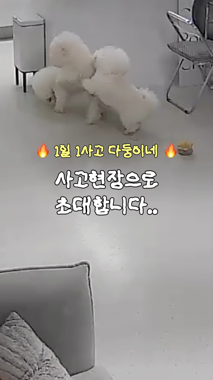 여름 침실템