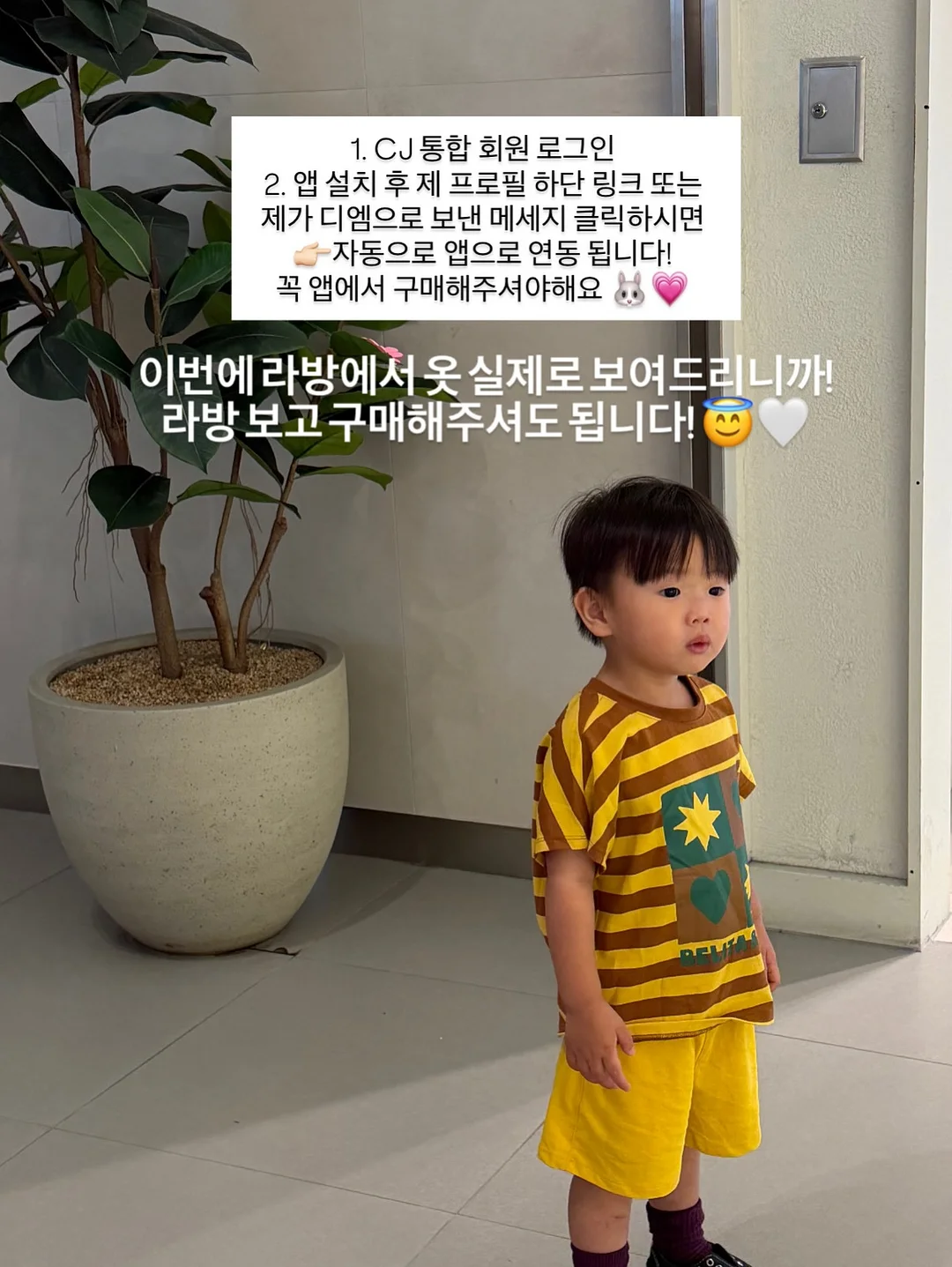 라이트 핑크 촉촉립 & 글로스 모음 3