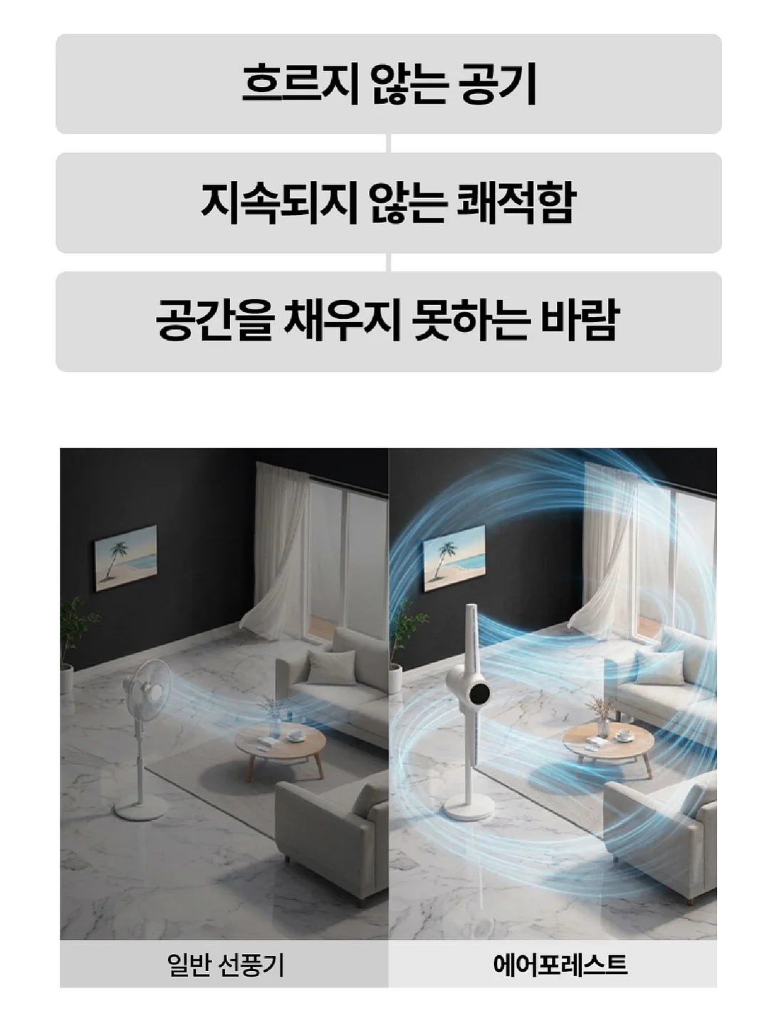 도다리 3