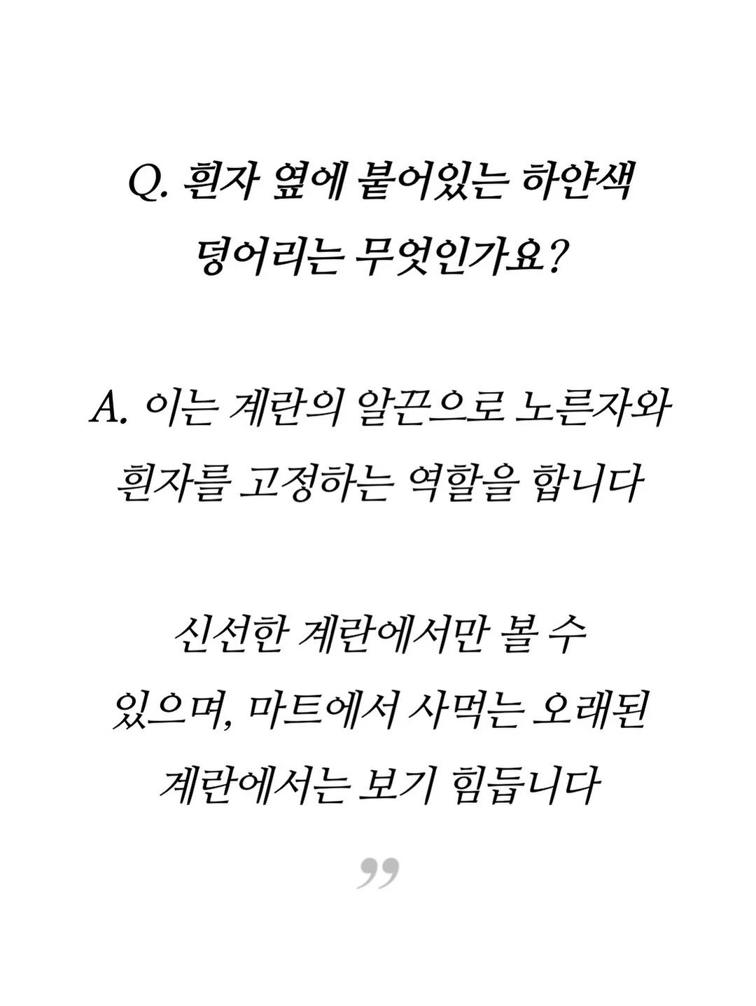 고속 충전기 10