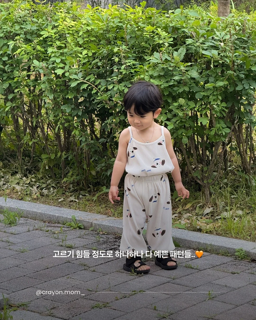 미니 우산 6