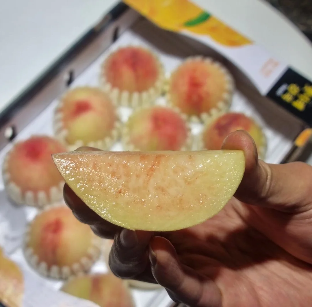 지우개 볼펜
