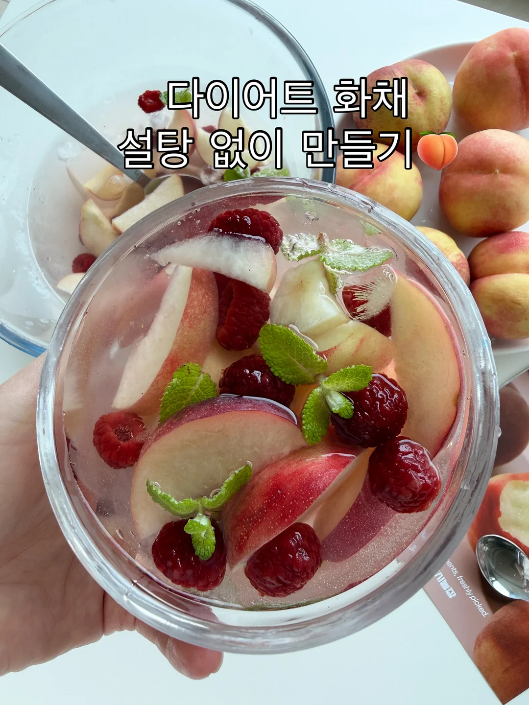 윌링매일독서 1