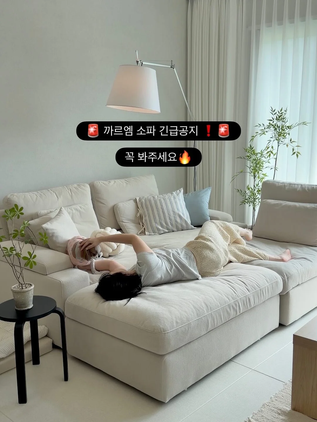 인기 조합 1