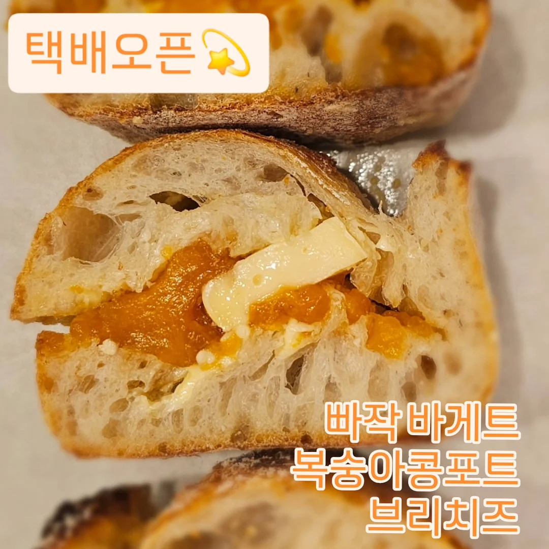 SABU 테니스 리턴볼 세트 1