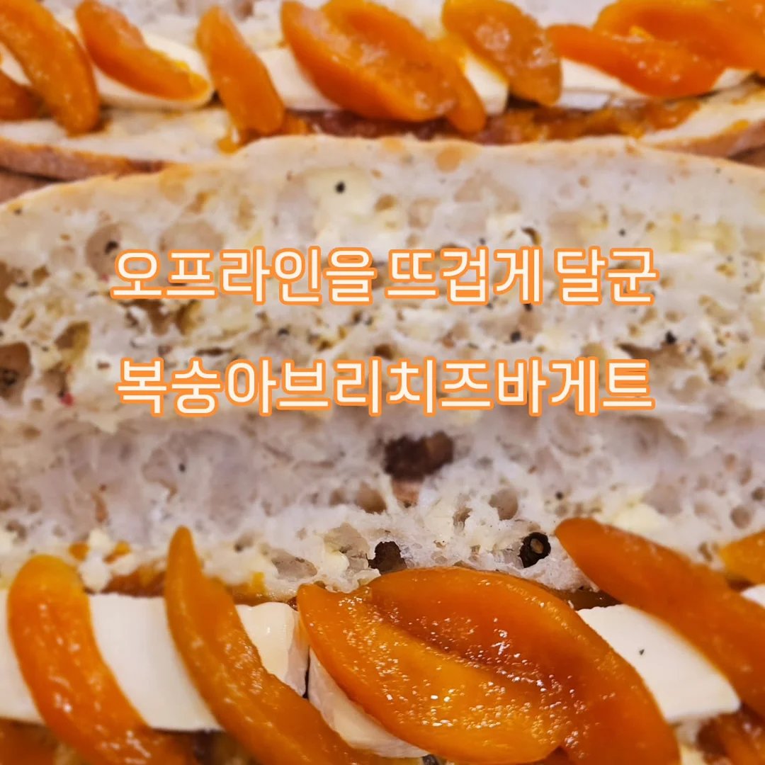 SABU 테니스 리턴볼 세트 2