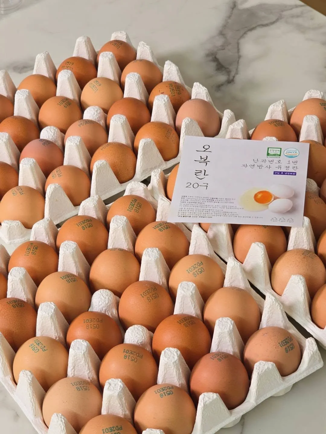 기본 반팔 티 12