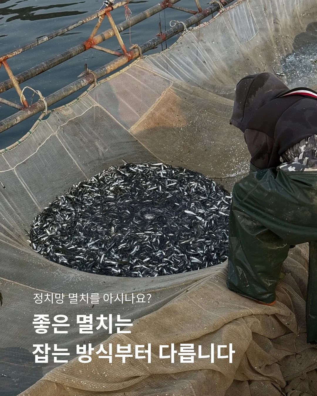 초록 창문 모조지 1