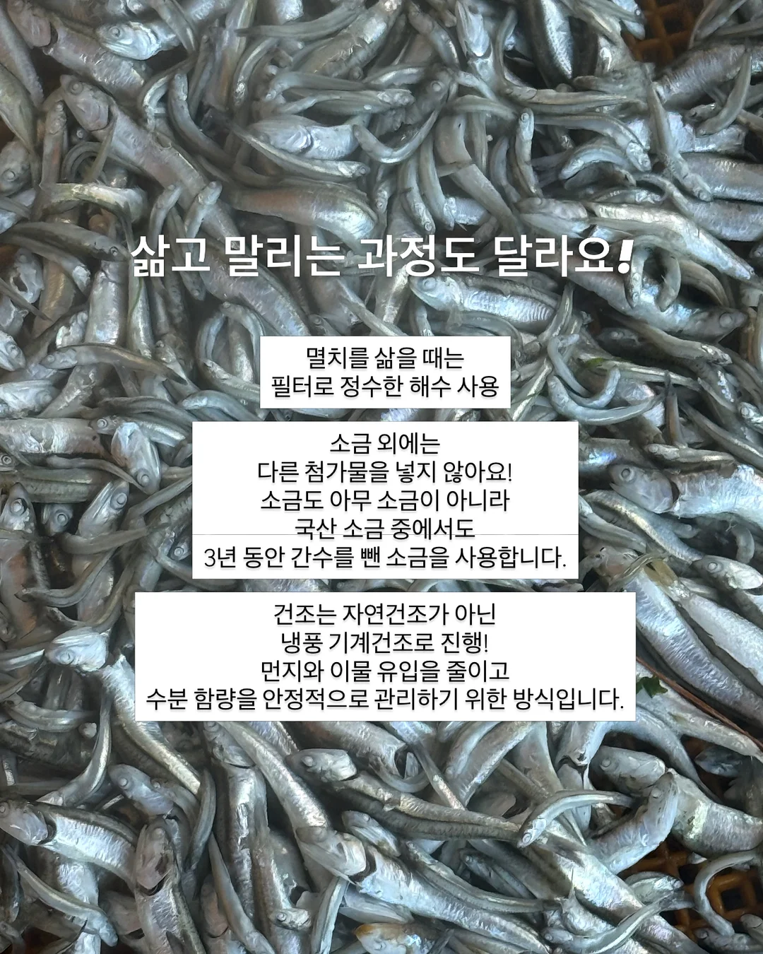 초록 창문 모조지 11