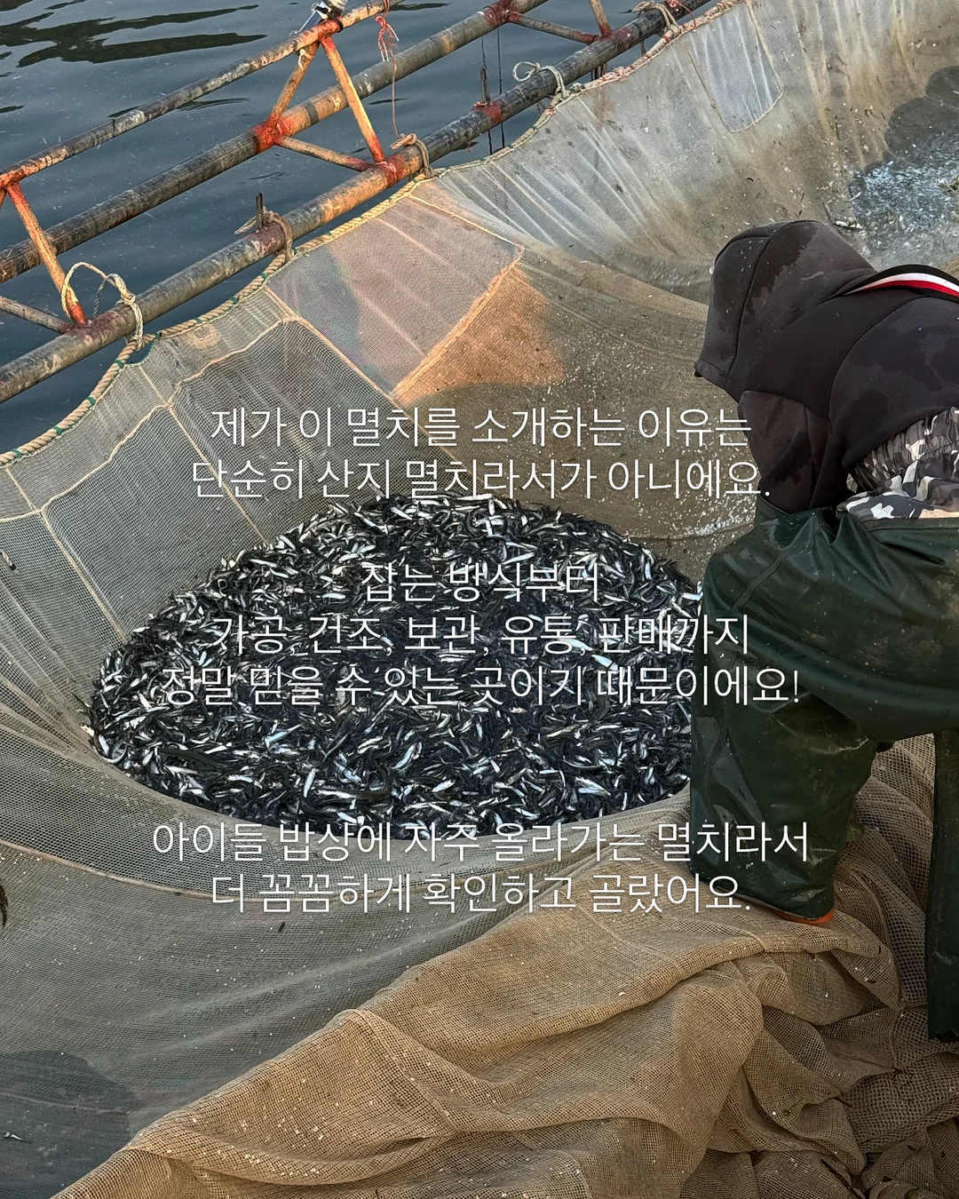 초록 창문 모조지 12