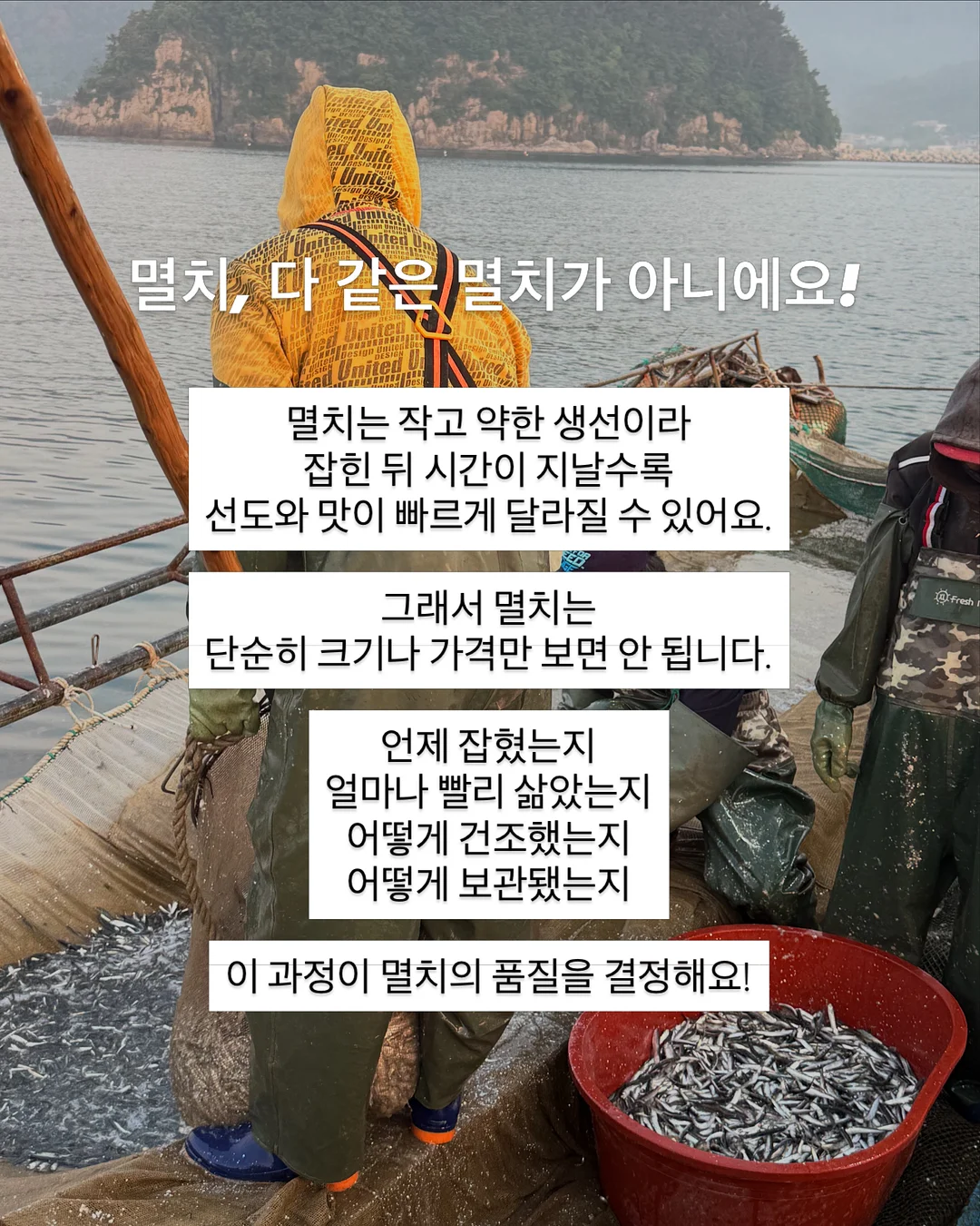 초록 창문 모조지 3