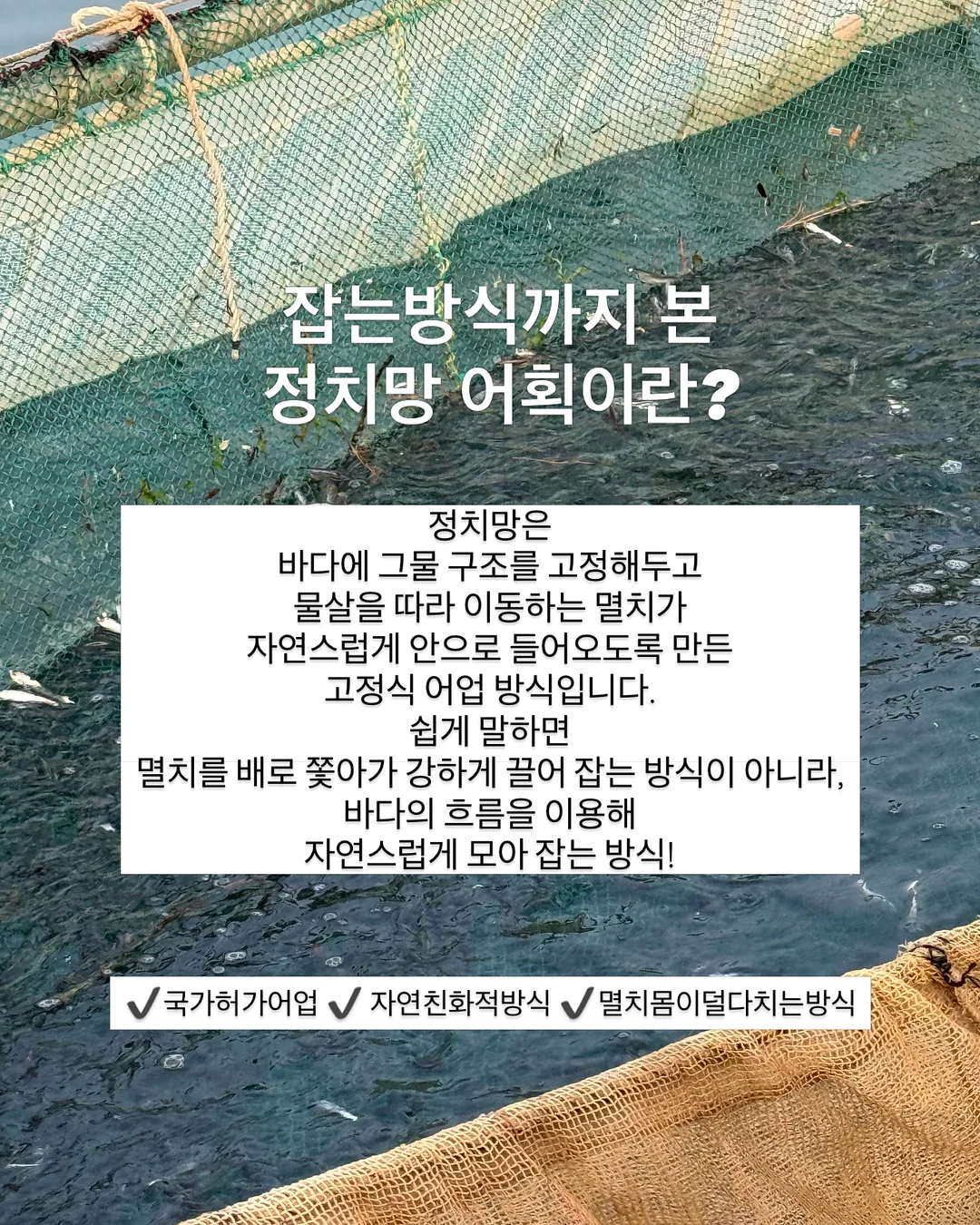 초록 창문 모조지 6