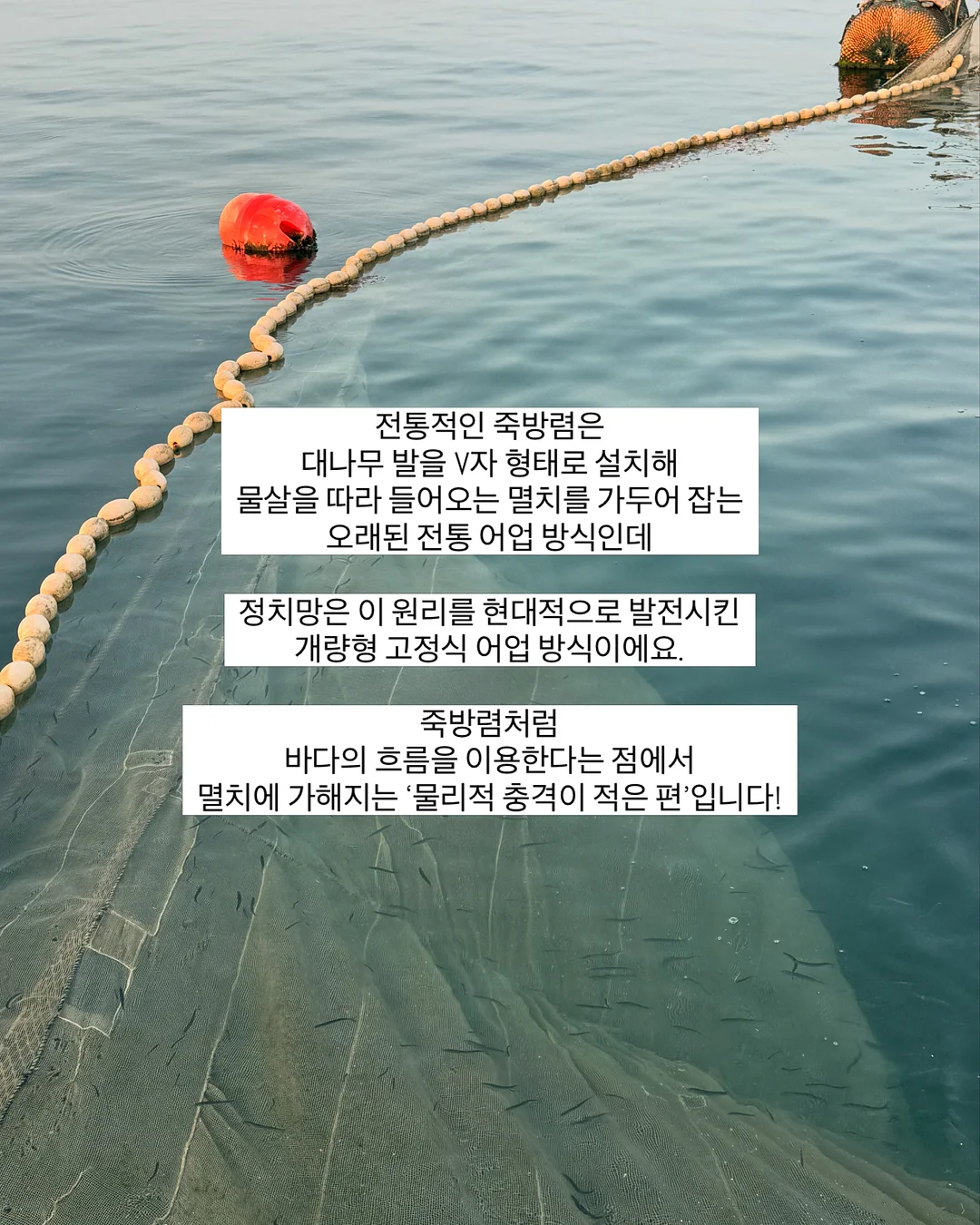 초록 창문 모조지 7