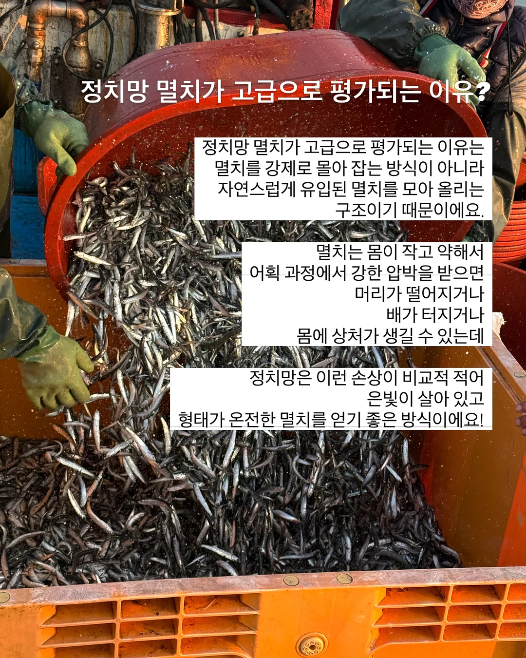 초록 창문 모조지 8