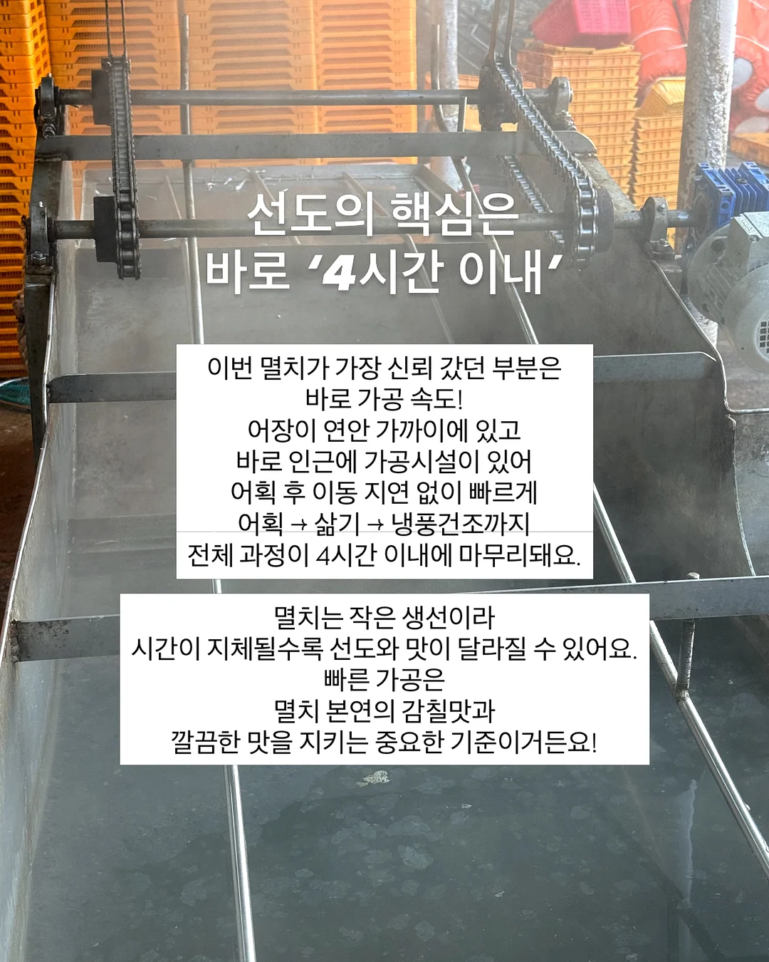 초록 창문 모조지 10