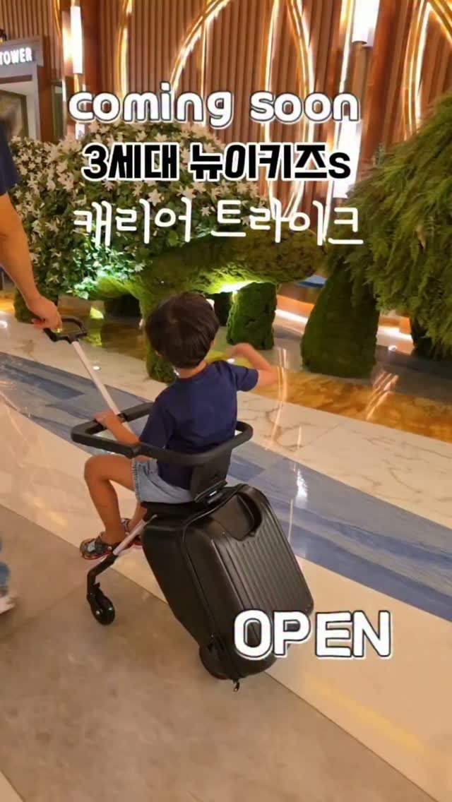 오로라토퍼 카네이션 용돈홀더