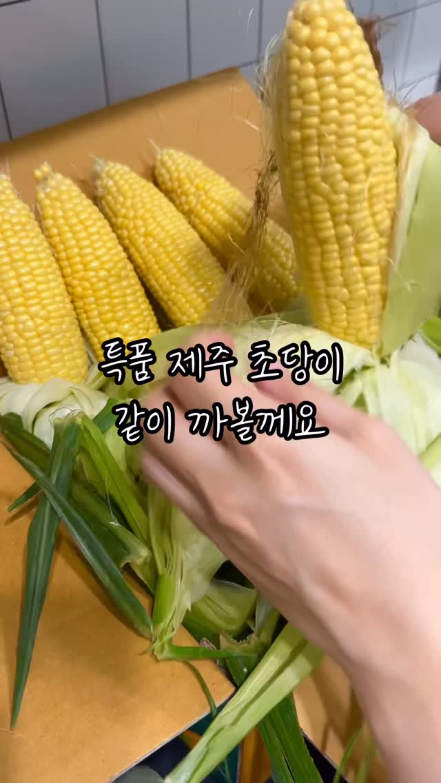 오니츠카 타이거 메리제인 운동화