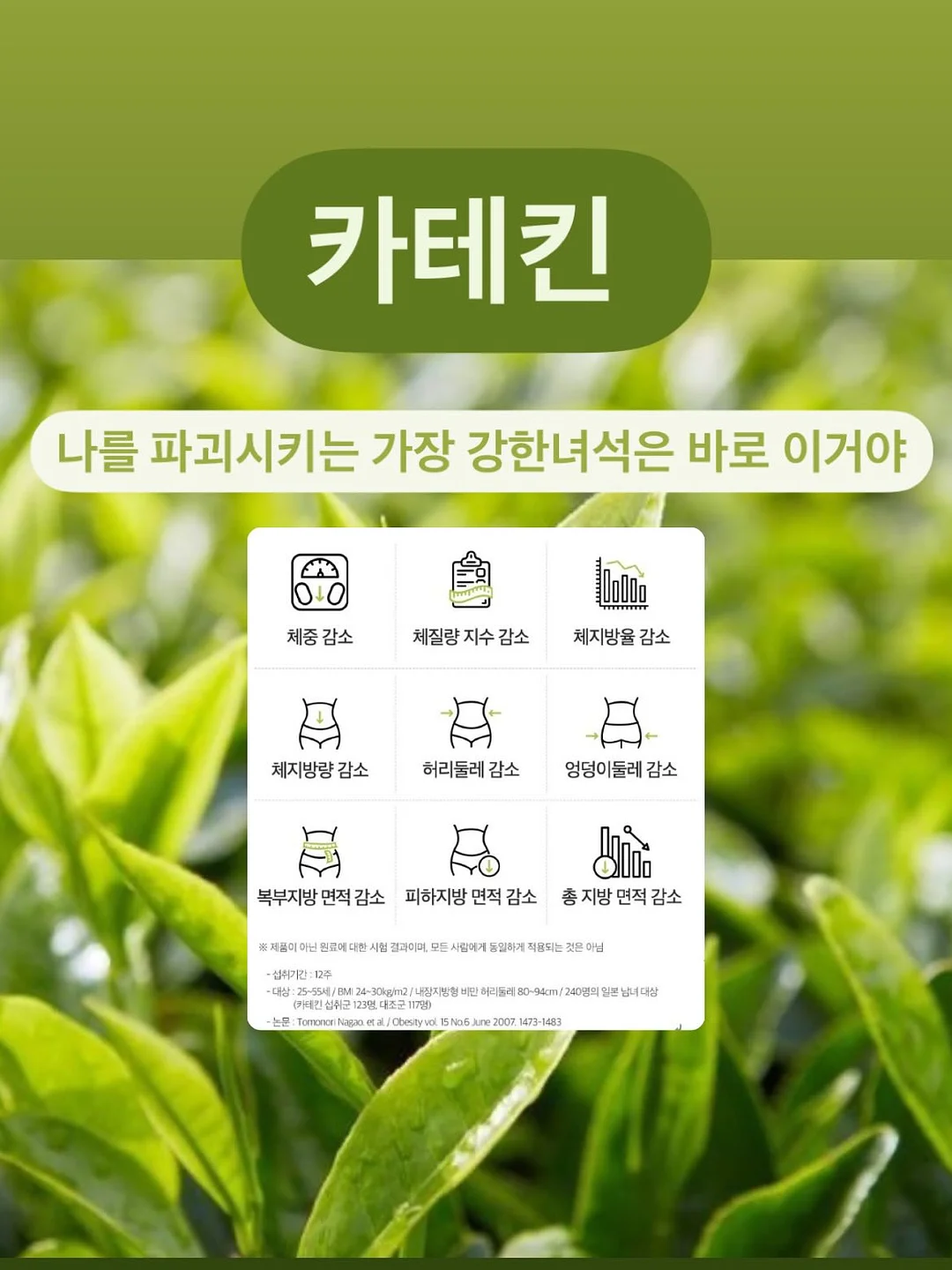 가이루빠 반팔 티셔츠 + 가이루빠 미니쮸리 하프 팬츠 14